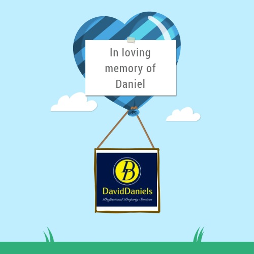 David Daniels Co Ltd