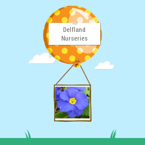 Delfland Nurseries Ltd